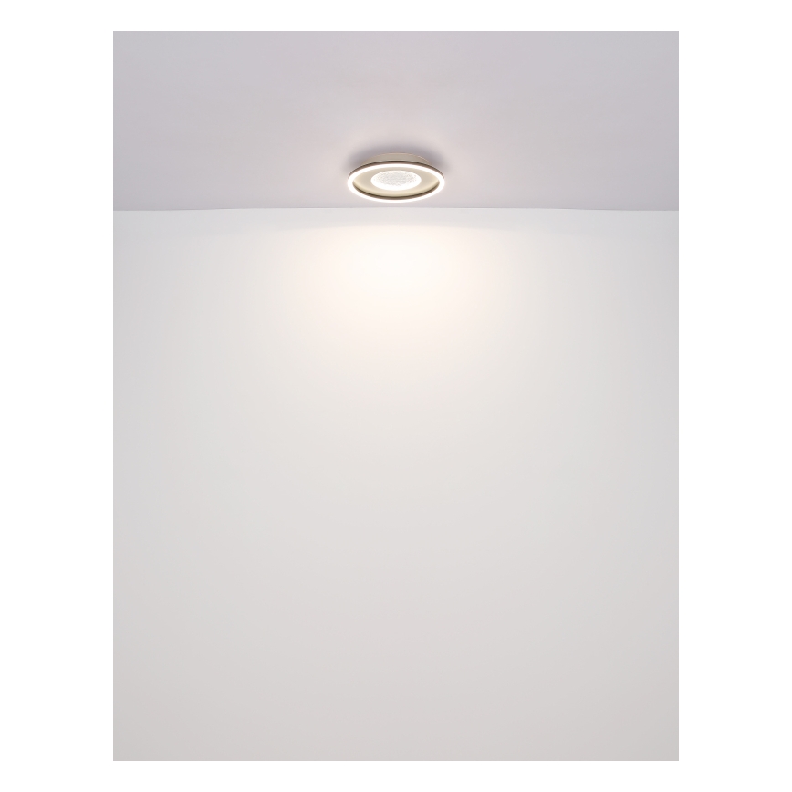 Globo - Стельовий LED світильник LED/24W/230V 2700/4500/6500K діаметр 33 см