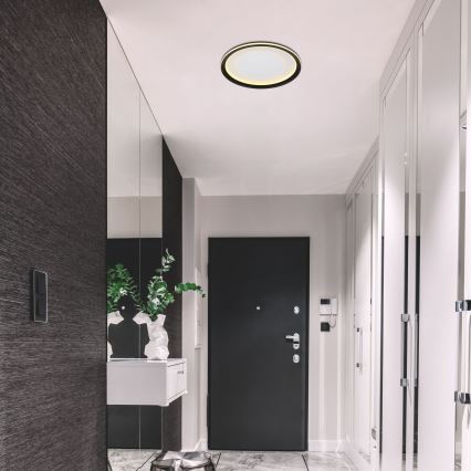 Globo - Светодиодный потолочный светильник с регулированием яркости LED/24W/230V 2700-6000K + дистанционное управление