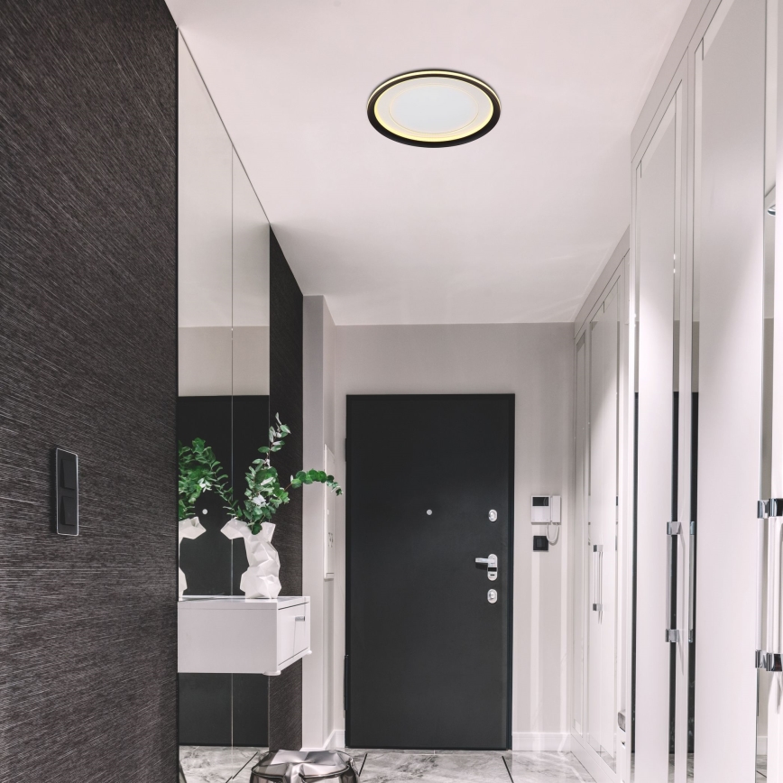 Globo - Светодиодный потолочный светильник с регулированием яркости LED/24W/230V 2700-6000K + дистанционное управление
