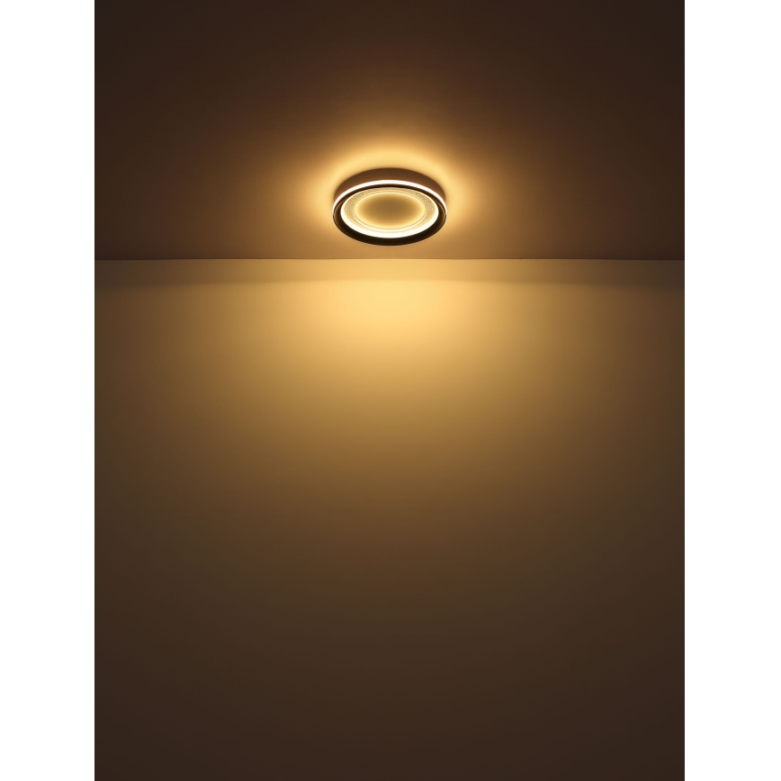 Globo - Светодиодный потолочный светильник с регулированием яркости LED/24W/230V 2700-6000K + дистанционное управление