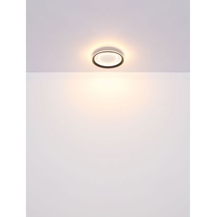 Globo - Светодиодный потолочный светильник с регулированием яркости LED/24W/230V 2700-6000K + дистанционное управление