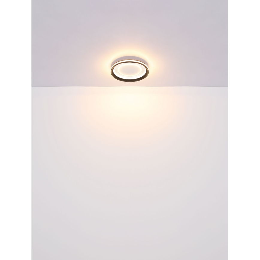 Globo - Светодиодный потолочный светильник с регулированием яркости LED/24W/230V 2700-6000K + дистанционное управление