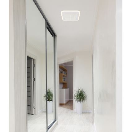 Globo - Стельовий LED світильник LED/12W/230V 4000K
