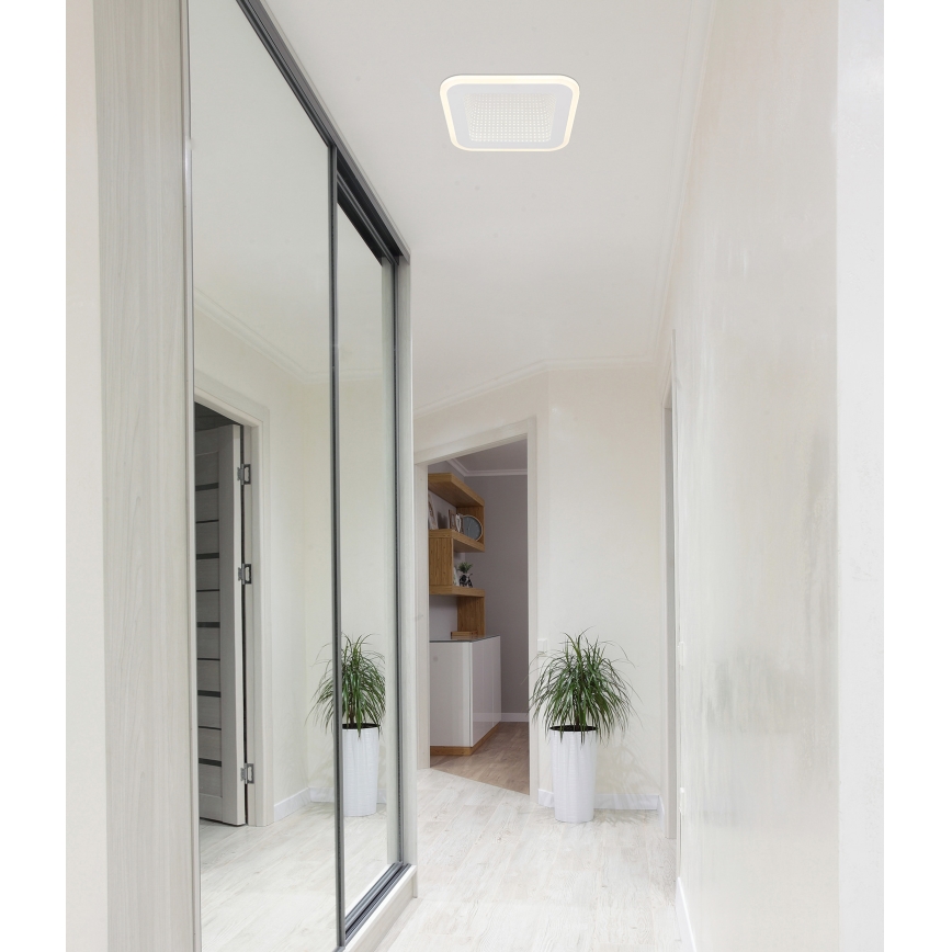 Globo - Стельовий LED світильник LED/12W/230V 4000K