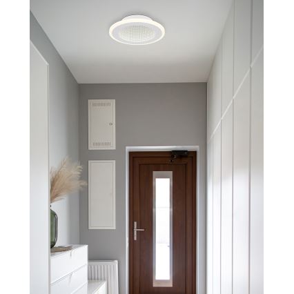 Globo - Стельовий LED світильник LED/12W/230V 4000K