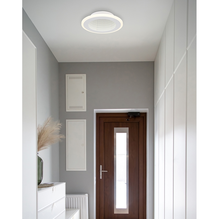 Globo - Стельовий LED світильник LED/12W/230V 4000K