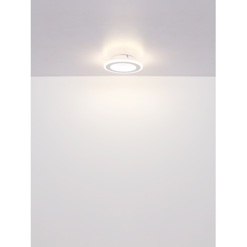 Globo - Стельовий LED світильник LED/12W/230V 4000K