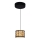 Globo 49367-6H - Светодиодная люстра на тросе POTTI LED/6W/230V