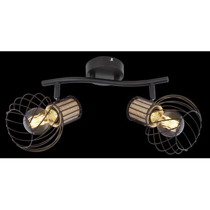 Globo 54012-2S - Прожектор LUISE 2xE27/40W/230V