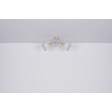 Globo 54018-2 - Прожектор WIHO 2xE27/40W/230V