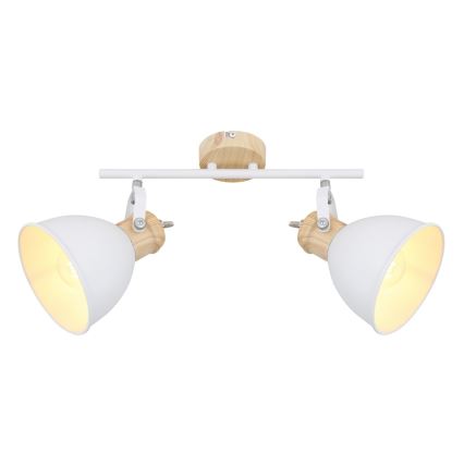 Globo 54018-2 - Прожектор WIHO 2xE27/40W/230V