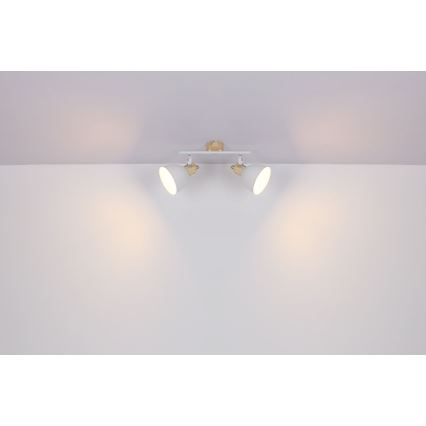 Globo - Точковий світильник 2xE27/40W/230V