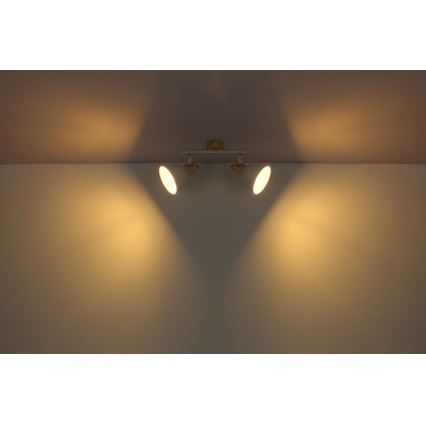 Globo - Точковий світильник 2xE27/40W/230V
