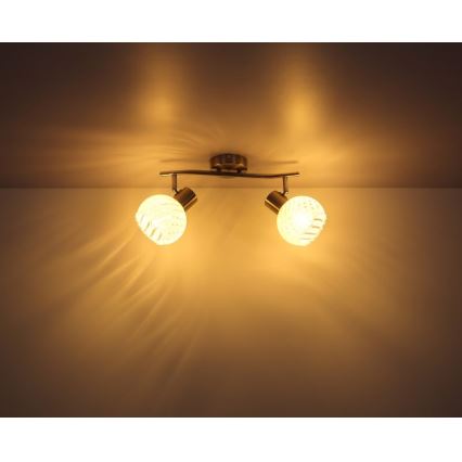 Globo 54025-2 - Прожектор WILLY 2xE27/40W/230V