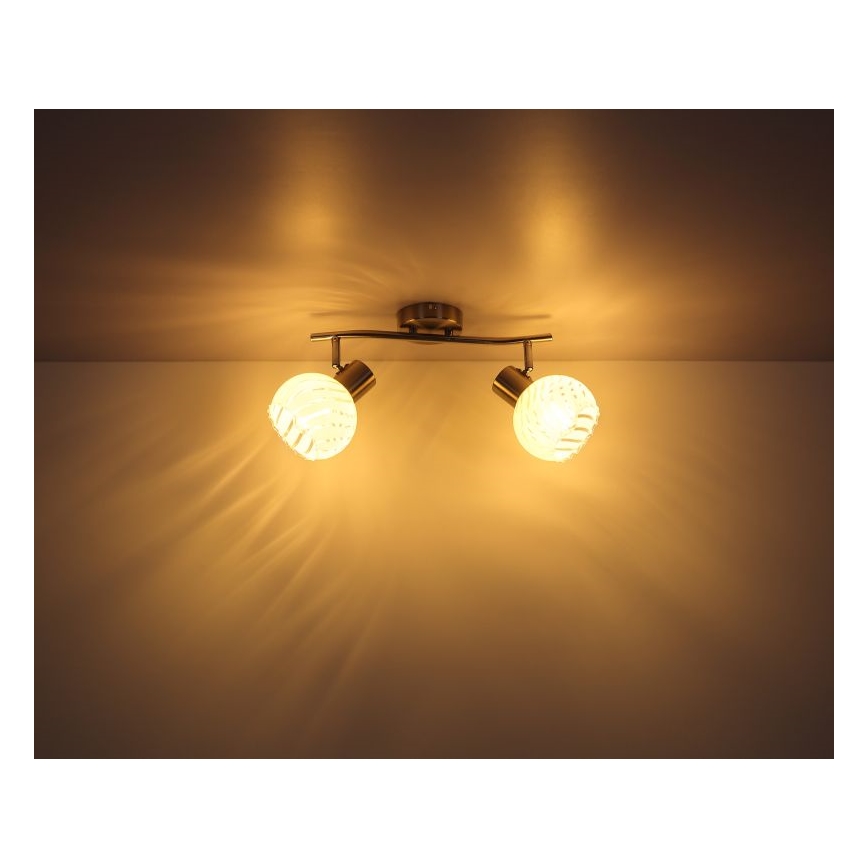 Globo 54025-2 - Прожектор WILLY 2xE27/40W/230V