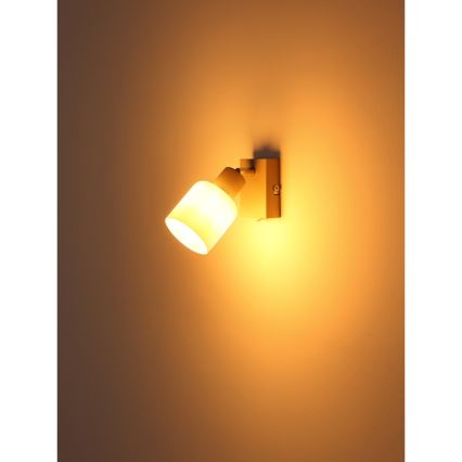 Globo - Настінний точковий світильник 1xE14/25W/230V