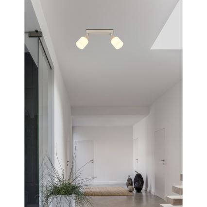 Globo - Точковий світильник 2xE14/25W/230V