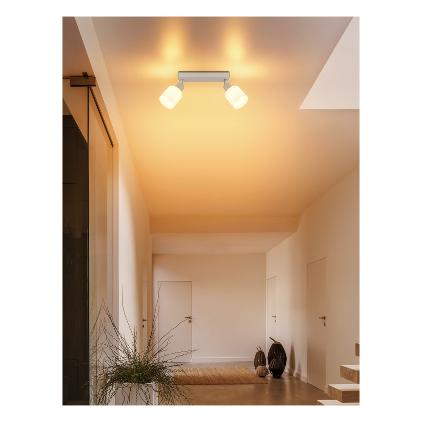 Globo - Точковий світильник 2xE14/25W/230V