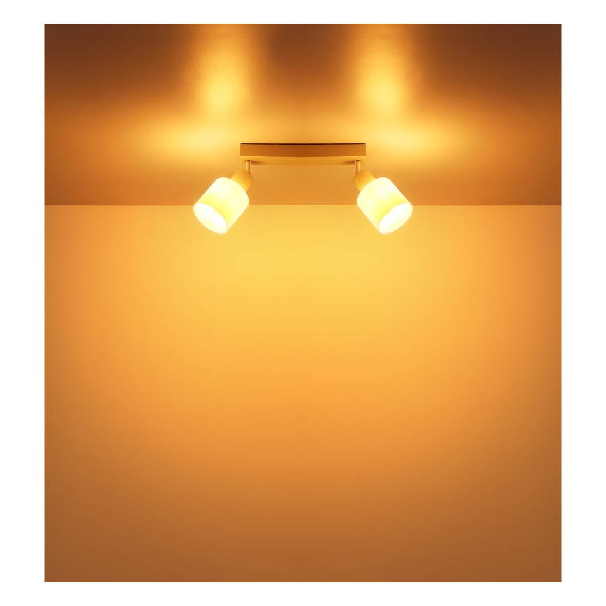 Globo - Точковий світильник 2xE14/25W/230V