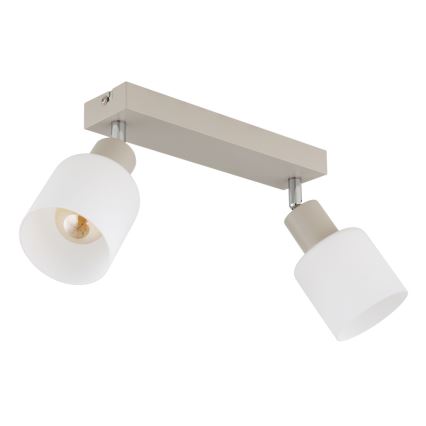 Globo - Точковий світильник 2xE14/25W/230V