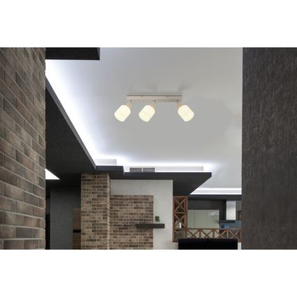 Globo - Точковий світильник 3x E14/25 Вт/230 В