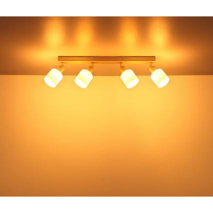 Globo - Точковий світильник 4xE14/25W/230V