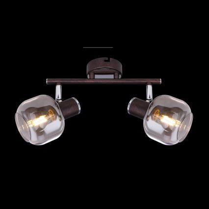 Globo 54303-2 - Прожектор PALLO 2xE14/40W/230V