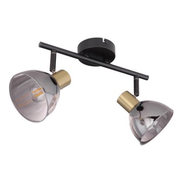 Globo 54305-2 - Прожектор JAY 2xE14/25W/230V
