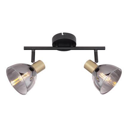 Globo 54305-2 - Прожектор JAY 2xE14/25W/230V