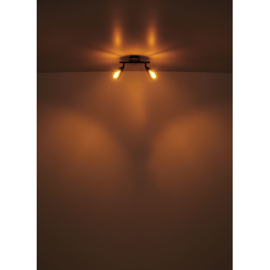 Globo - Точечный светильник 2xE14/25W/230V
