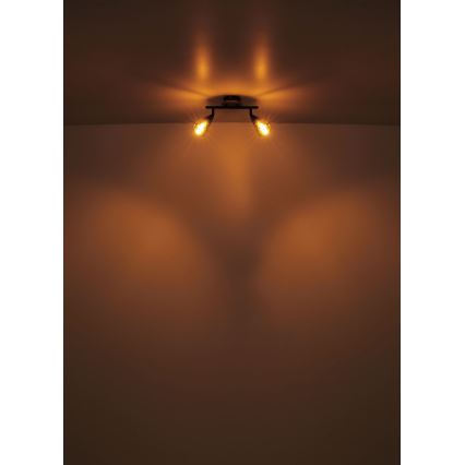 Globo - Точечный светильник 2xE14/25W/230V