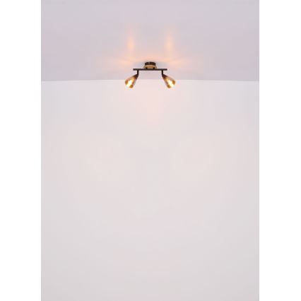 Globo - Точечный светильник 2xE14/25W/230V