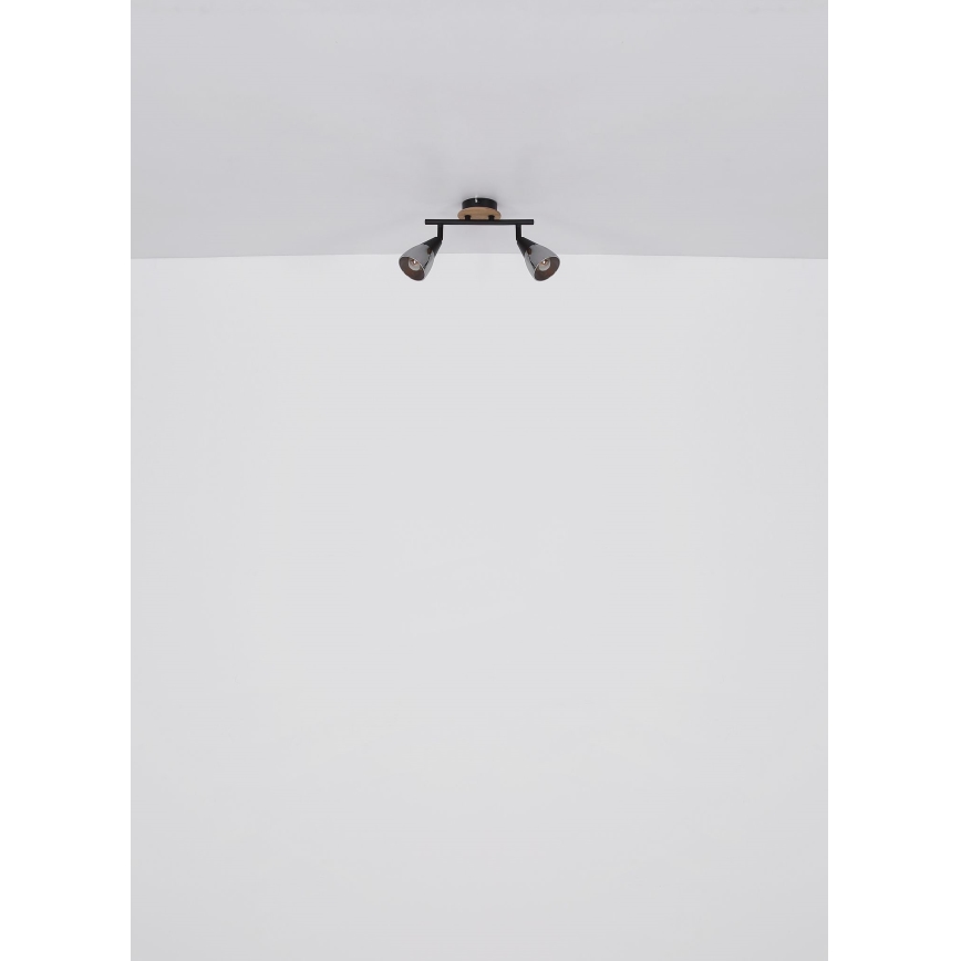 Globo - Точечный светильник 2xE14/25W/230V