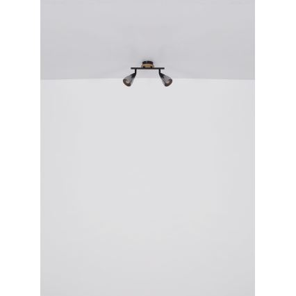 Globo - Точковий світильник 2xE14/25W/230V