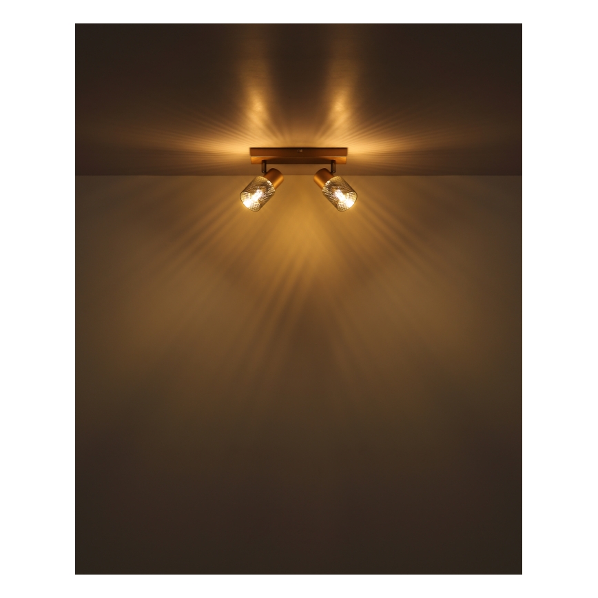 Globo - Точечный светильник 2xE14/40W/230V