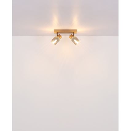 Globo - Точечный светильник 2xE14/40W/230V