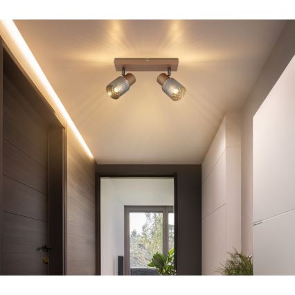 Globo - Точковий світильник 2xE14/40W/230V