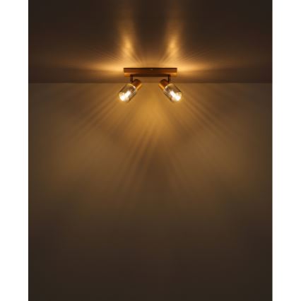 Globo - Точковий світильник 2xE14/40W/230V