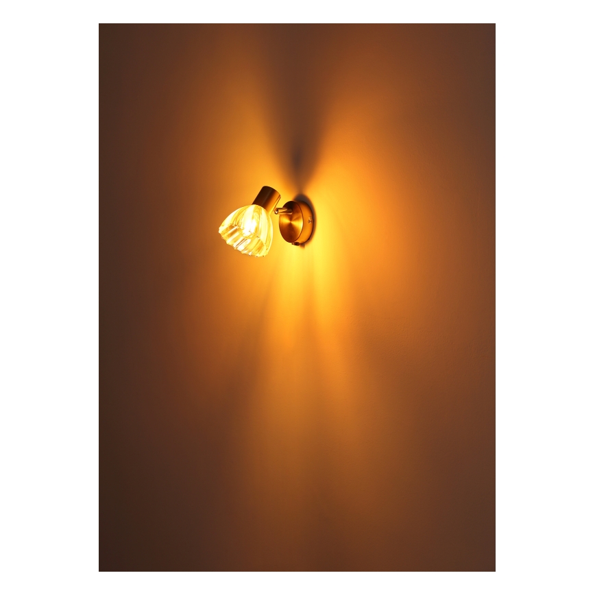 Globo - Настенный точечный светильник 1xE14/40W/230V золотистый
