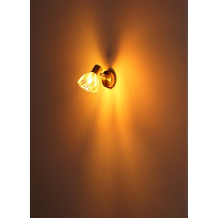 Globo - Настінний точковий світильник 1xE14/40W/230V золотий