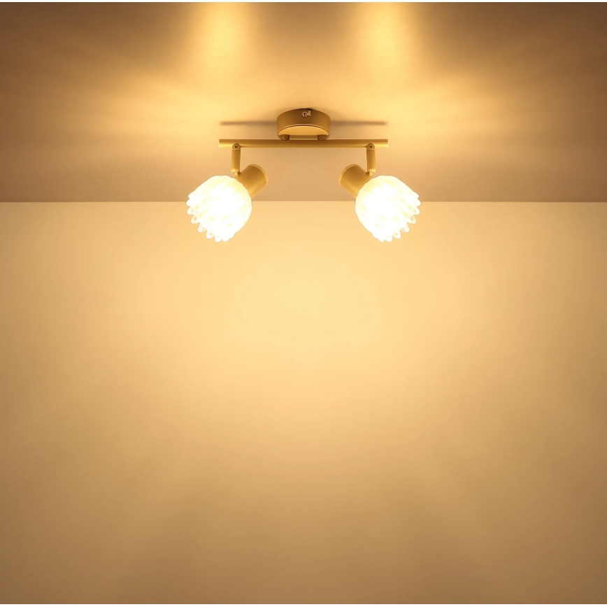 Globo - Точечный светильник 2xE14/40W/230V