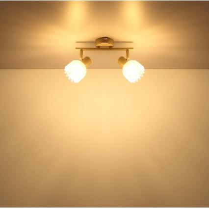 Globo - Точковий світильник 2xE14/40W/230V