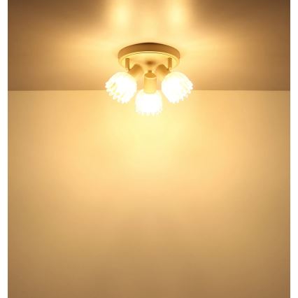 Globo - точечный светильник 3xE14/40W/230V