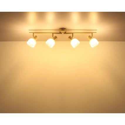 Globo - Точечный светильник 4xE14/40W/230V