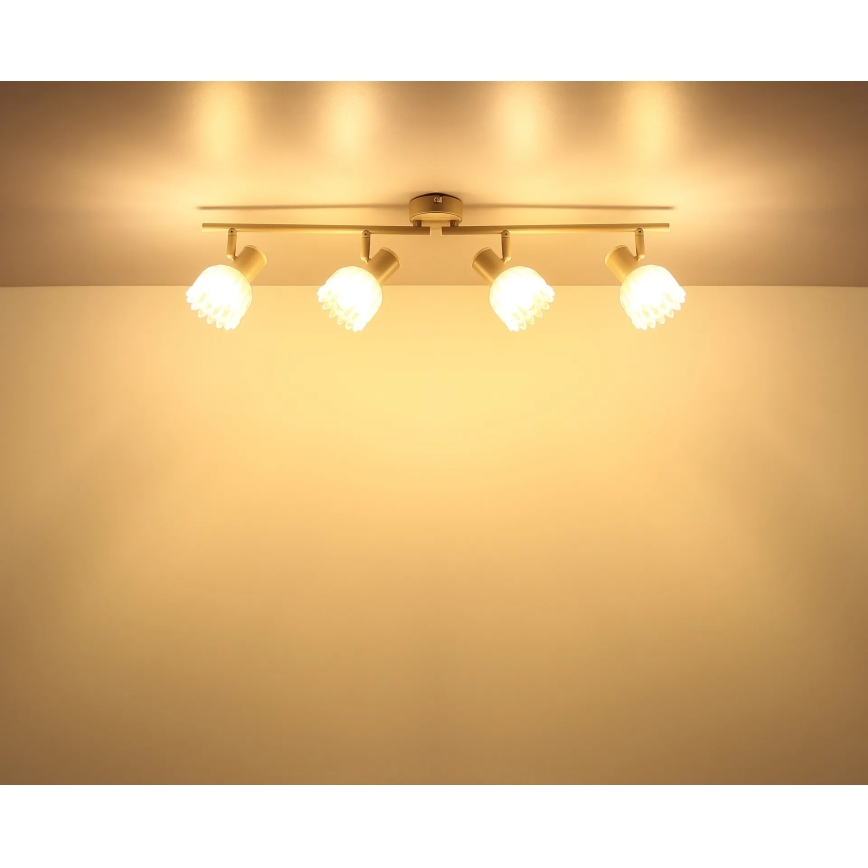 Globo - Точечный светильник 4xE14/40W/230V