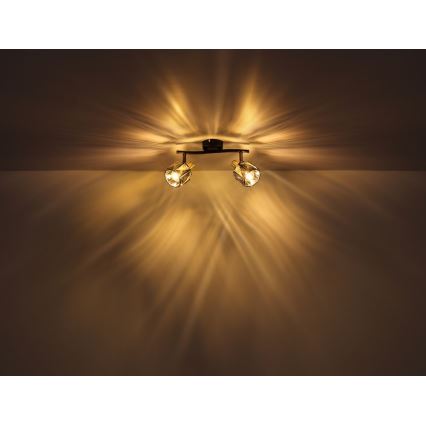 Globo - Точечный светильник 2xE14/40W/230V