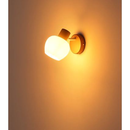 Globo - Настенный точечный светильник 1xE27/40W/230V
