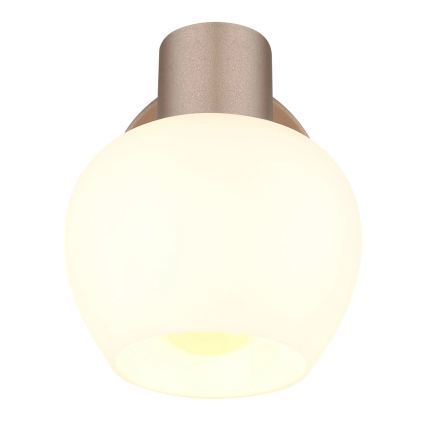 Globo - Настенный точечный светильник 1xE27/40W/230V