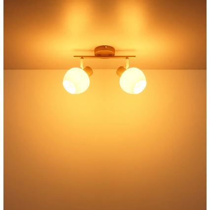 Globo - Точечный светильник 2xE27/40W/230V