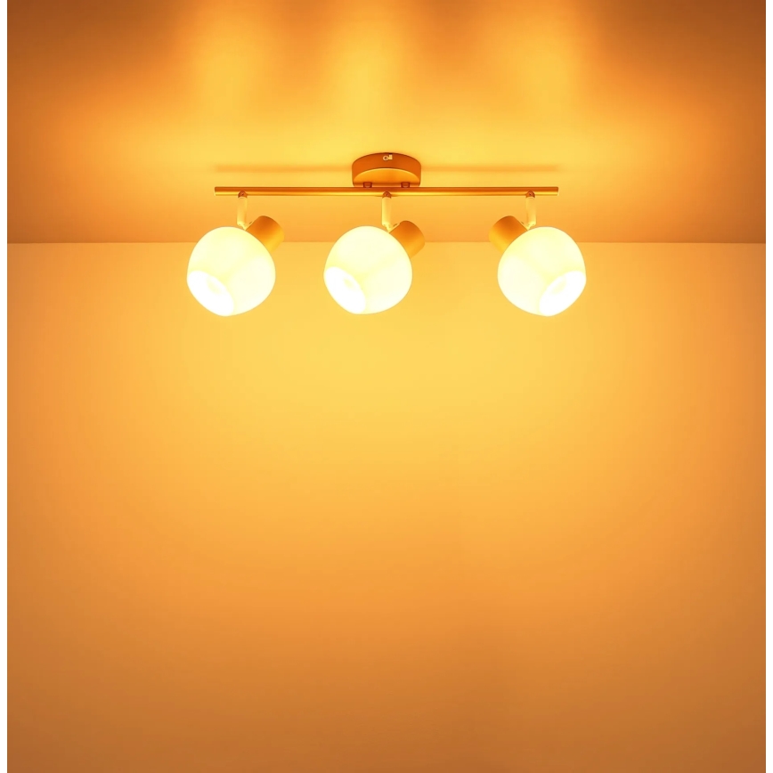 Globo - Точковий світильник 3xE27/40W/230V